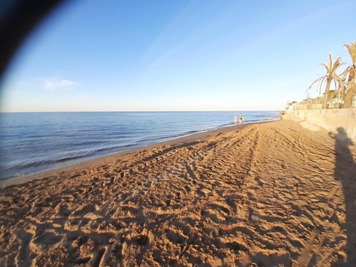 Llagosta 3 Denia